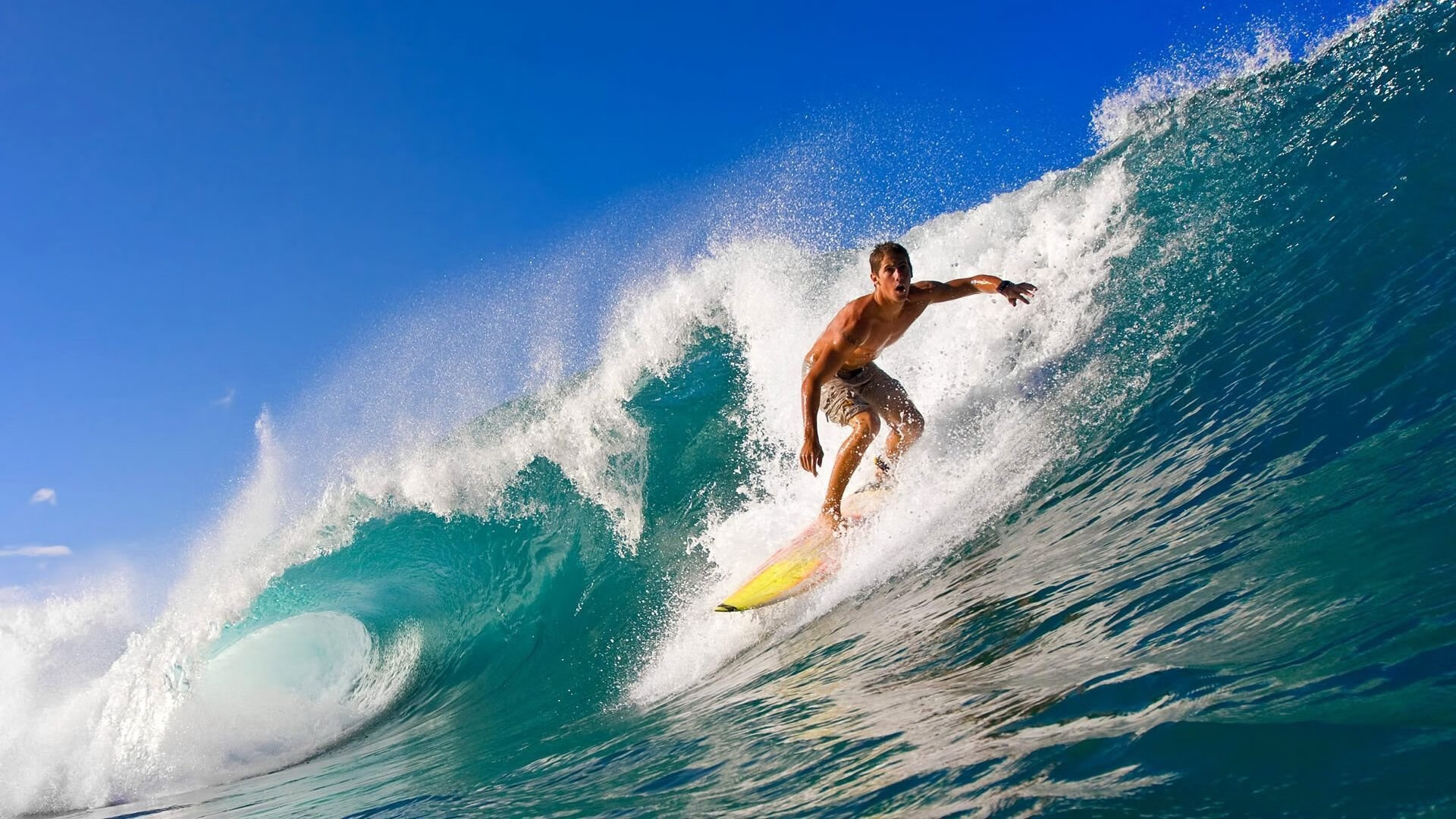 仰泳赛场比利时选手节奏精准，仰泳 backstroke 2017